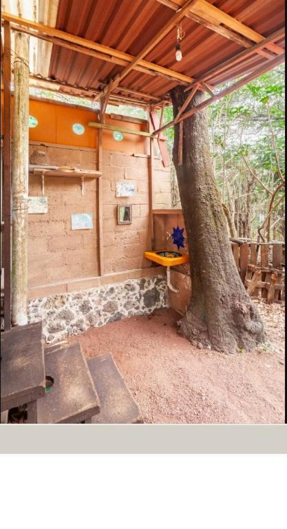 Casa Ecológica Tepoztlán Exterior foto